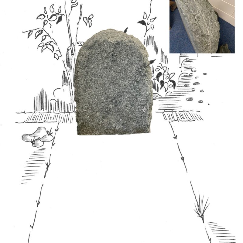 Andeer ruwe steen