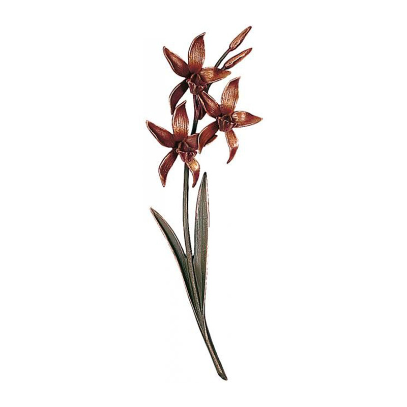 Orchidee 20148