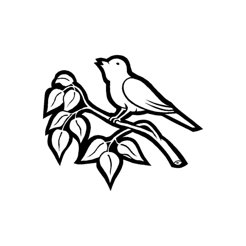 Vogel met tak 6