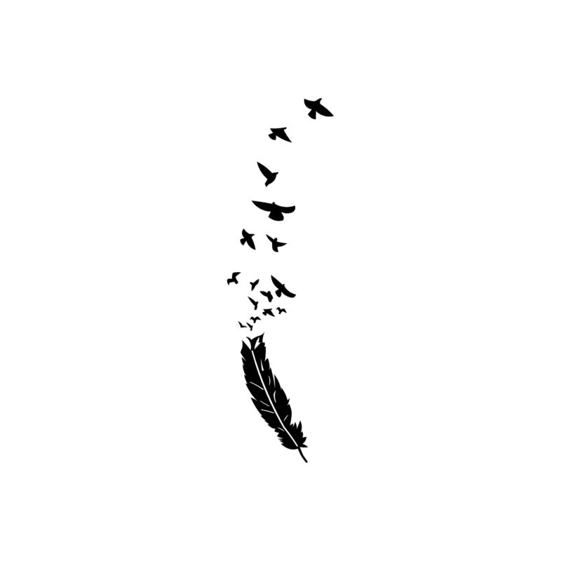 Vogels uit veer 1